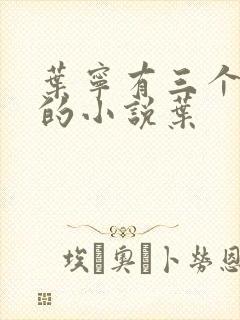 叶宁有三个师傅的小说叶