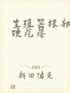 生殖器根部长一硬疙瘩