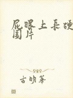 屁眼上长硬疙瘩图片