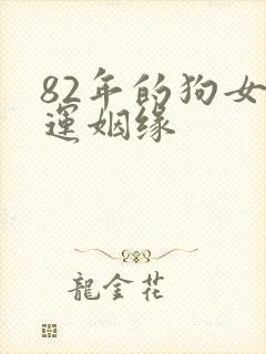 82年的狗女命运姻缘
