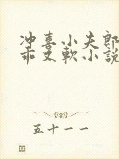 冲喜小夫郎他又乖又软小说免费阅读