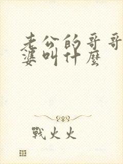 老公的哥哥的老婆叫什么