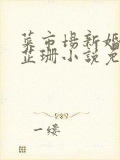 菜市场新婚妻子芷珊小说免费阅读