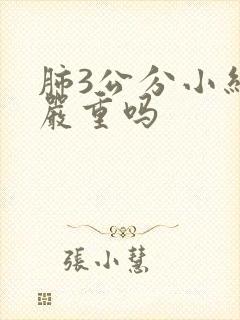 肺3公分小结节严重吗