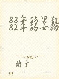 88年的男龙和82年的女狗相配吗