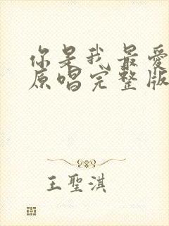 你是我最爱的人原唱完整版封面