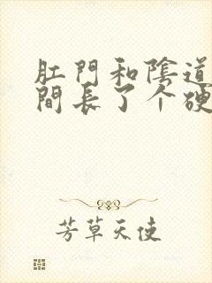 肛门和阴道口之间长了个硬硬的肉疙瘩