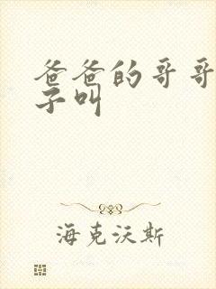 爸爸的哥哥的儿子叫