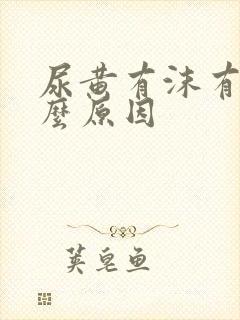 尿黄有沫有味什么原因