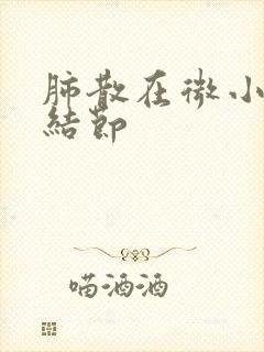 肺散在微小实性结节