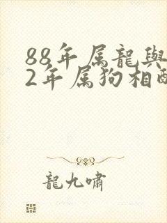 88年属龙与82年属狗相配吗
