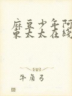 麻豆少年阿宾房东太太在线观看封面