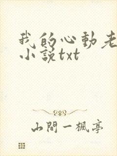 我的心动老板娘小说txt