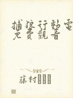 捕狼行动电视剧免费观看封面