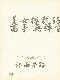 美女总裁的贴身高手 无弹窗