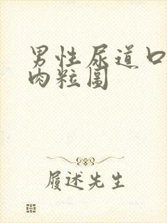 男性尿道口有小肉粒图