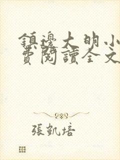 镇边大明小说免费阅读全文