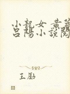小龙女 黄蓉 吕阳小说阅读