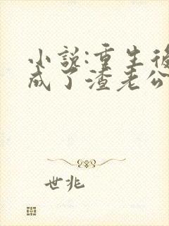 小说:重生后,成了渣老公的白月光