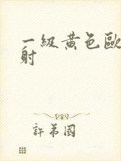 一级黄色欧美内射