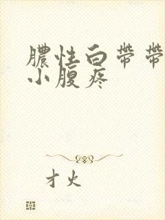 脓性白带带血丝小腹疼