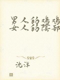 男人的鸡鸡插进女人的阴部