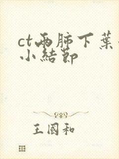 ct两肺下叶微小结节