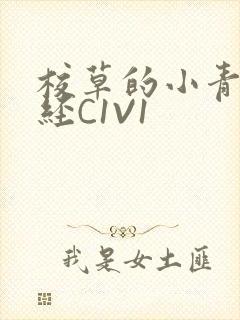 校草的小青梅不经C1V1