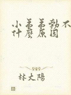 小弟弟勃不起是什么原因封面