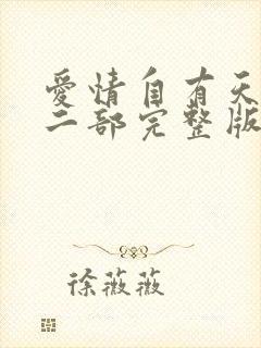 爱情自有天意第二部完整版