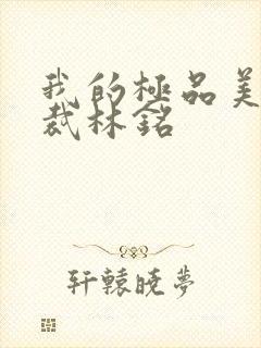 我的极品美女总裁林铭