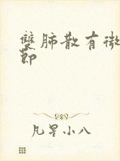 双肺散有微小结节