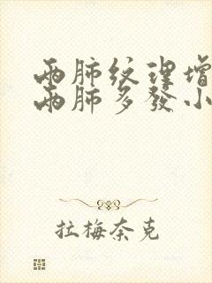 两肺纹理增多,两肺多发小结节影封面