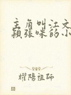 主角叫江文斌赵颖张咪的小说