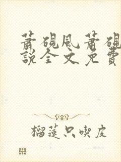 萧砚风萧砚风小说全文免费阅读