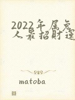 2022年属兔人最招财运的微信头像