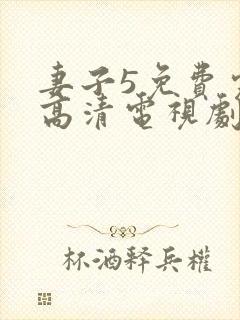 妻子5免费完整高清电视剧看封面