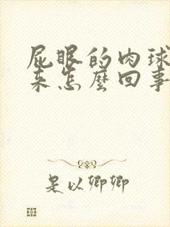 屁眼的肉球掉出来怎么回事封面