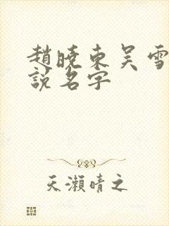 赵晓东吴雪晴小说名字封面