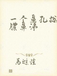 一个鼻孔总流黄脓鼻涕