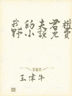 我的夫君权倾朝野小说免费阅读