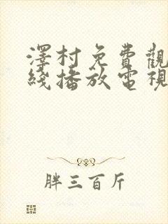 泽村免费观看在线播放电视剧封面