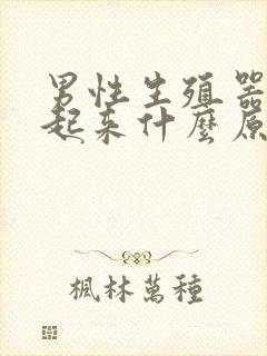 男性生殖器硬不起来什么原因