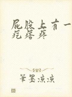 屁股上有一个硬疙瘩疼