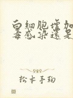 白细胞增加是病毒感染还是细菌感染