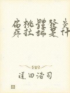 扁桃体发炎肚子疼拉稀是什么原因