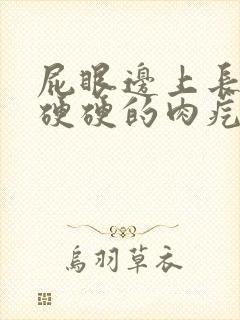 屁眼边上长了个硬硬的肉疙瘩