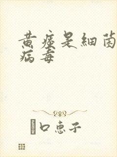 黄痰是细菌还是病毒