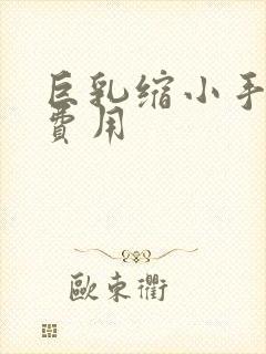 巨乳缩小手术的费用封面