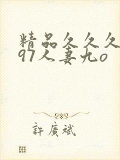 精品久久久久久97人妻九o